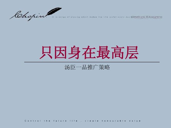 上海汤臣一品高端豪宅推广 链接全球财富阶层